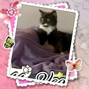 Meet your Posher, Jeanne